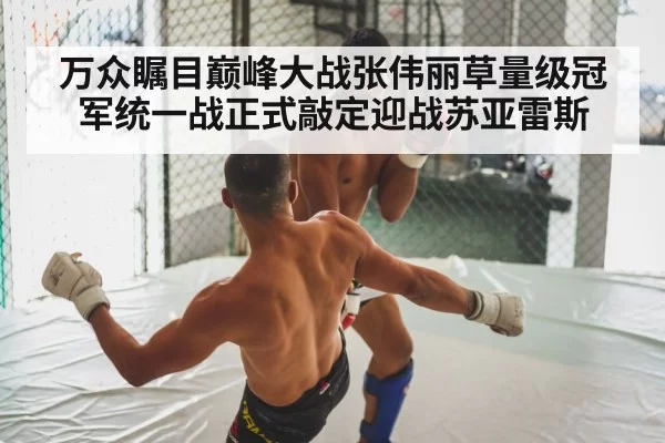 MMA fight